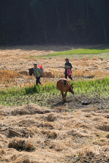 1636093242329359.png 02.png