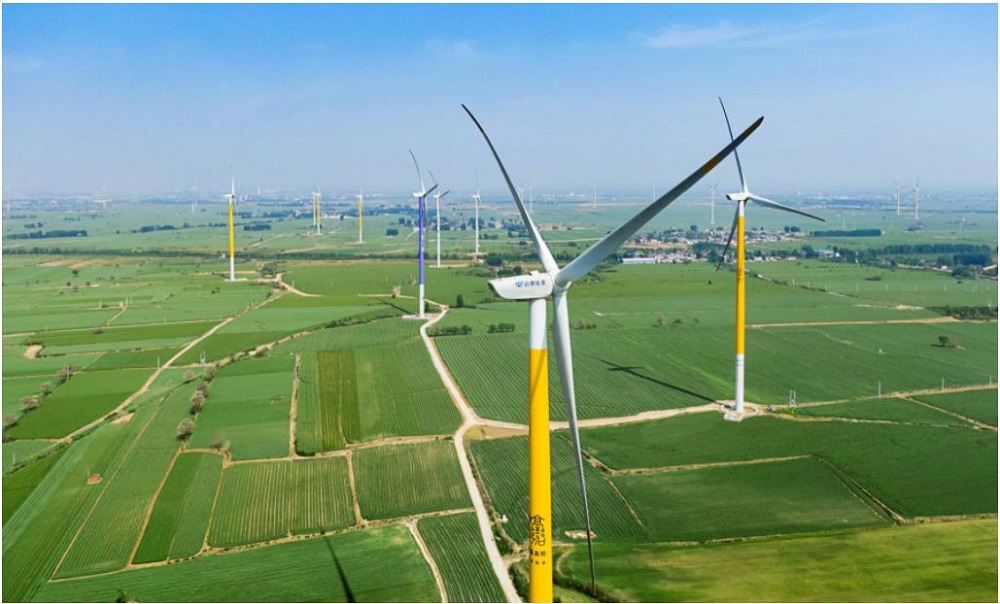 1648512793941156.jpg 图片1.jpg