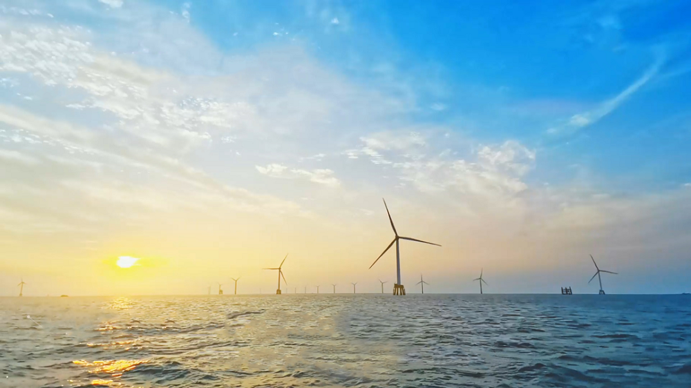 1661498529894829.png 图片1.png