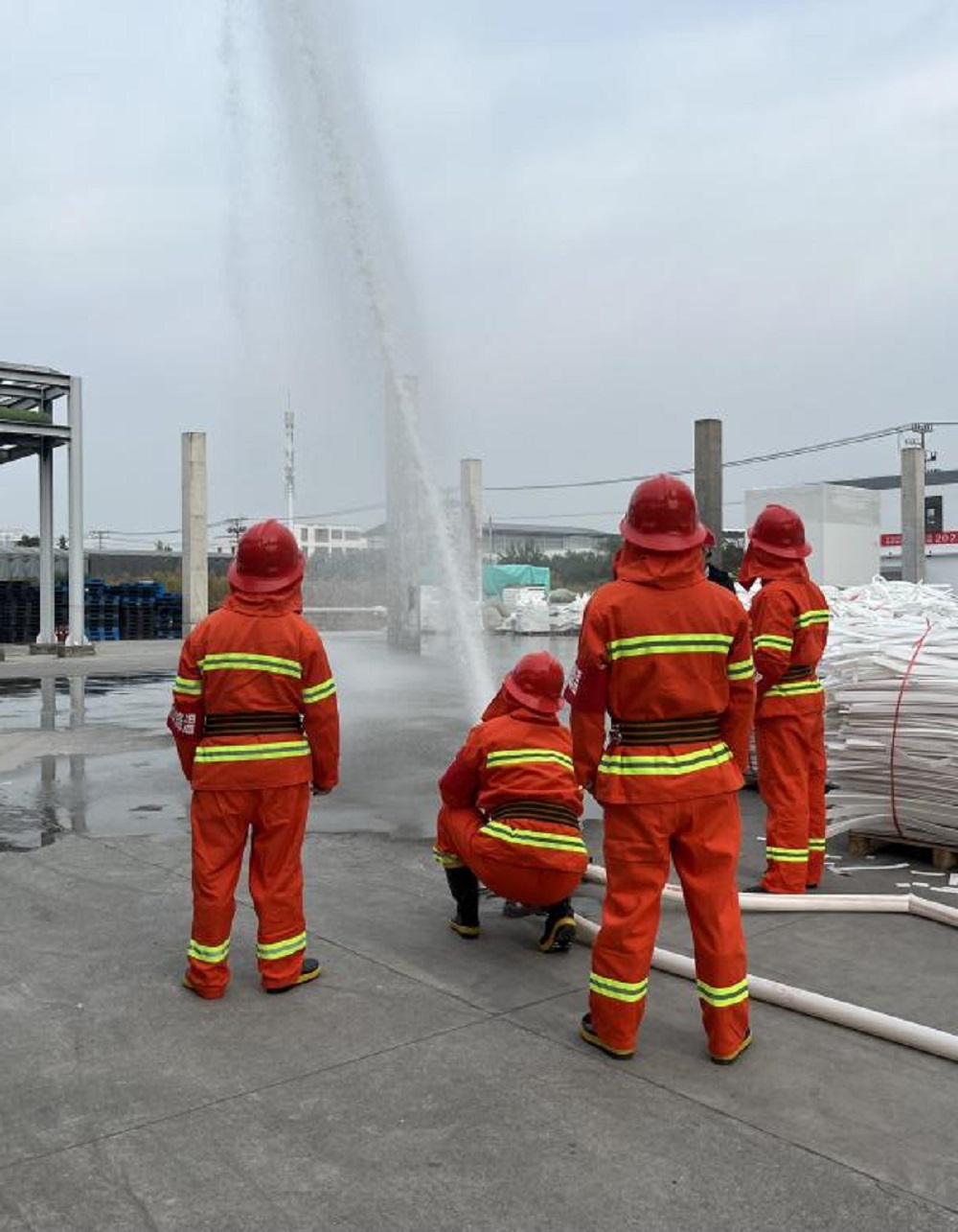 1698215879374025.jpeg 3.jpeg