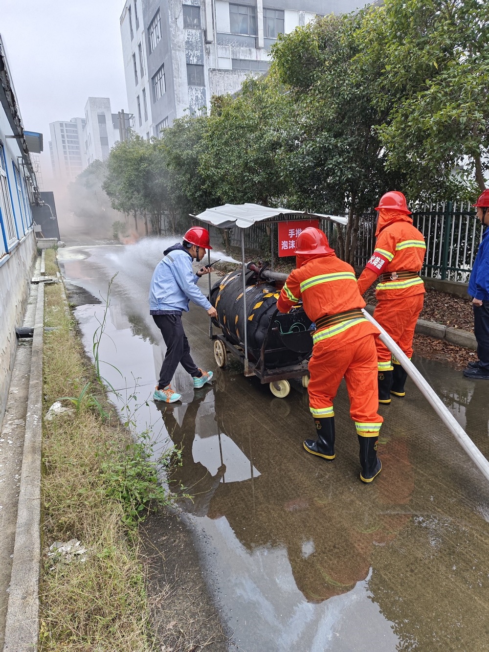 1732168180525845.jpg 2.jpg