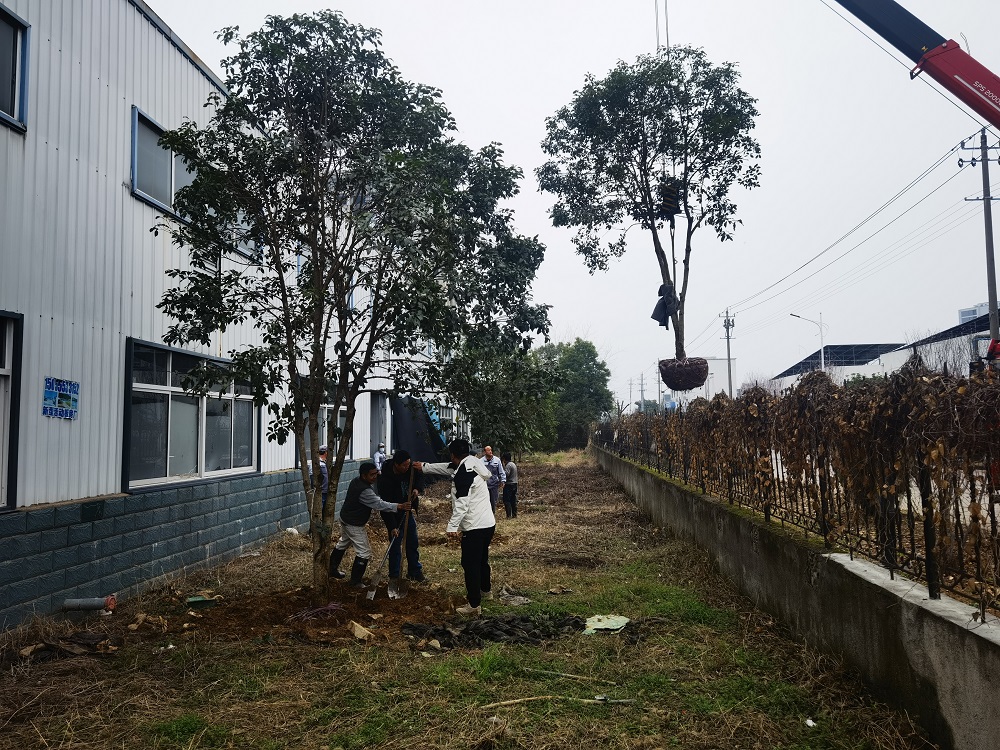 1741743885152816.jpg 1.jpg