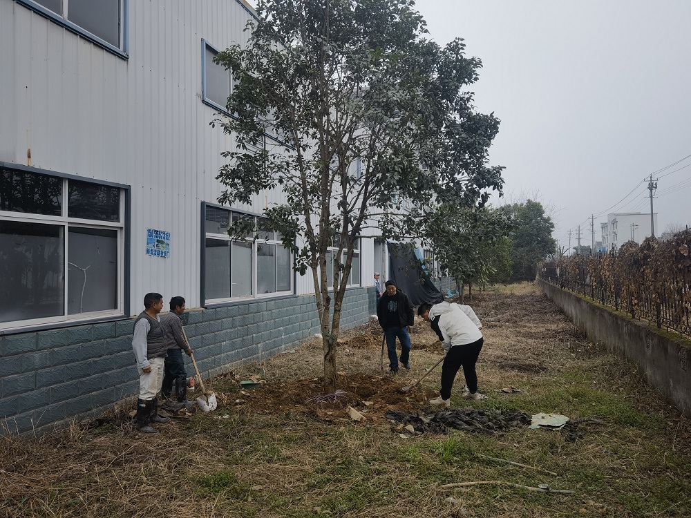 1741743892490345.jpg 2.jpg