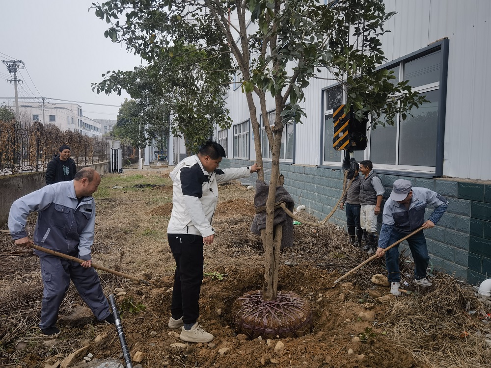 1741743899394141.jpg 3.jpg